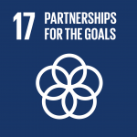 UN Sustainable Development Goal #17